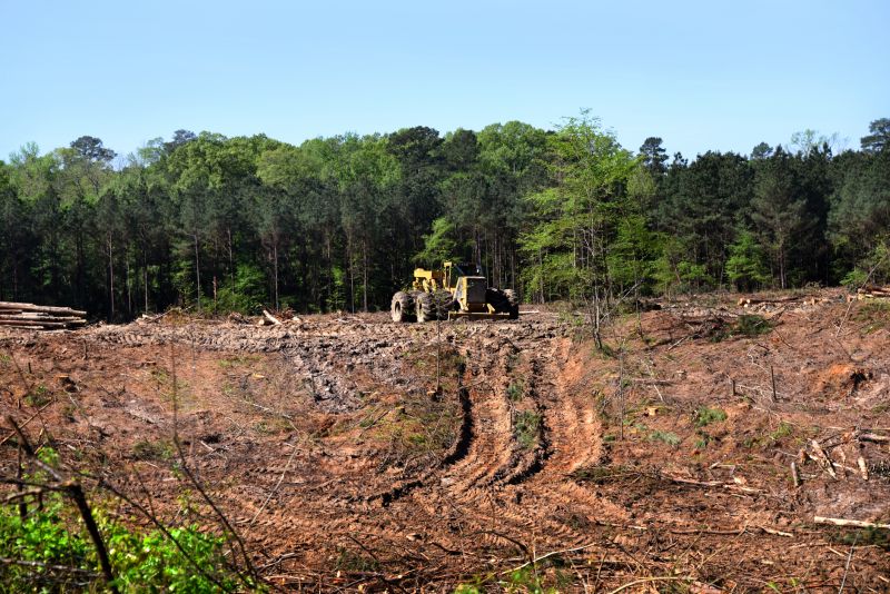 Construction Site Land Clearing in Houston, TX