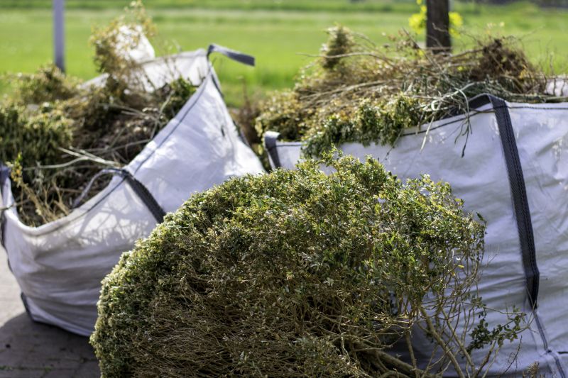 Brush Clearing Service in Katy, TX