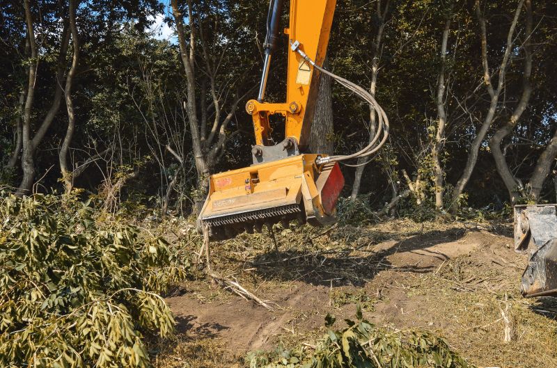 Brush Clearing Service in Katy, TX