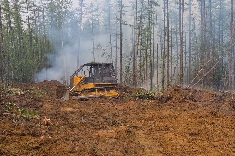 Bulldozer Clearing in Houston, TX