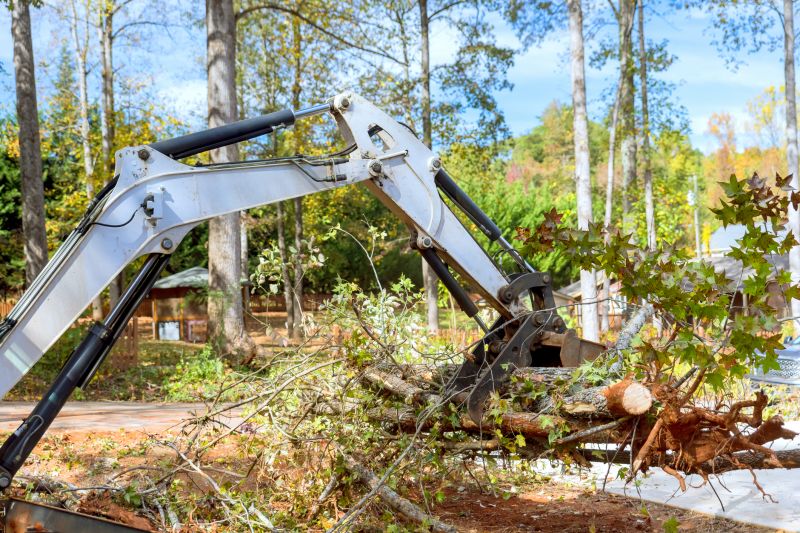 Construction Site Land Clearing in Katy, TX