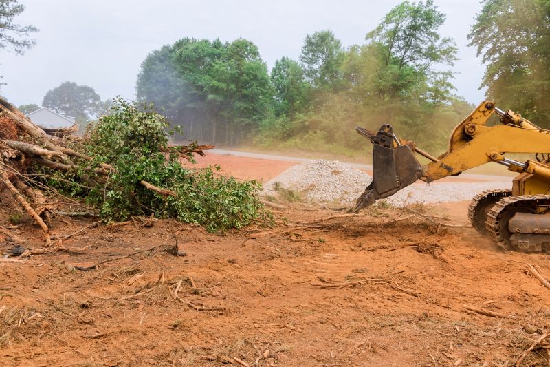 Easement Land Clearing in Houston, TX