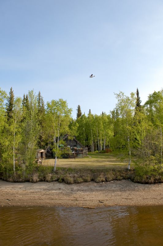 Trees Clearing in Salt Lake City, UT